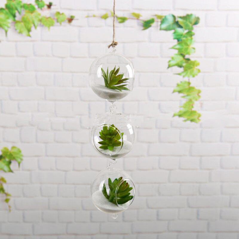 Terrarium Balls